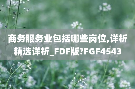 商务服务业包括哪些岗位,详析精选详析_FDF版?FGF4543