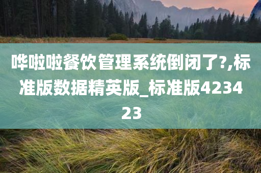 哗啦啦餐饮管理系统倒闭了?,标准版数据精英版_标准版423423