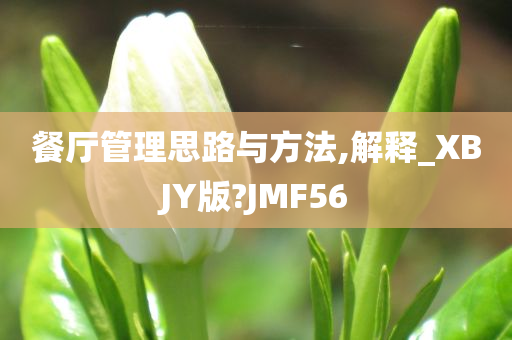 餐厅管理思路与方法,解释_XBJY版?JMF56