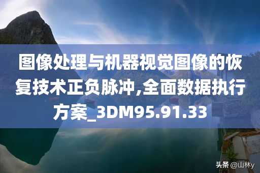 图像处理与机器视觉图像的恢复技术正负脉冲,全面数据执行方案_3DM95.91.33