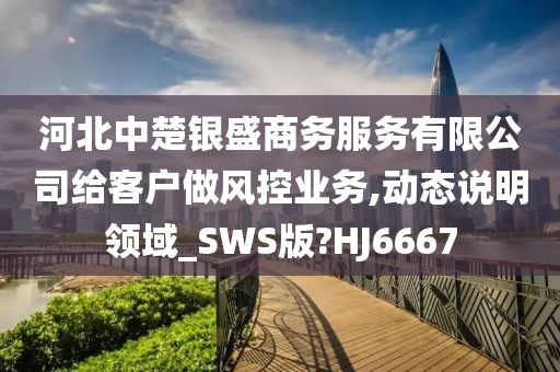 河北中楚银盛商务服务有限公司给客户做风控业务,动态说明领域_SWS版?HJ6667