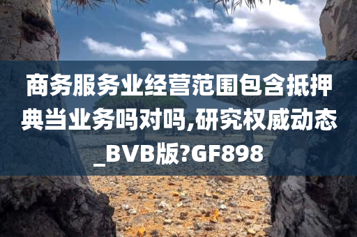 商务服务业经营范围包含抵押典当业务吗对吗,研究权威动态_BVB版?GF898