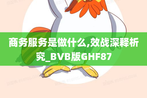 商务服务是做什么,效战深释析究_BVB版GHF87