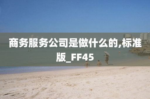 商务服务公司是做什么的,标准版_FF45