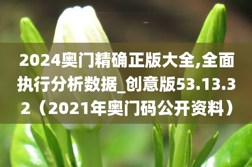 2024奥门精确正版大全,全面执行分析数据_创意版53.13.32（2021年奥门码公开资料）