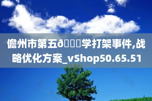 儋州市第五🀄学打架事件,战略优化方案_vShop50.65.51