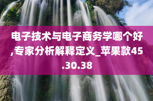 电子技术与电子商务学哪个好,专家分析解释定义_苹果款45.30.38