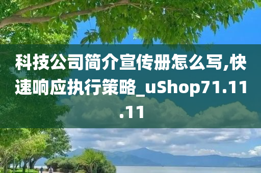 科技公司简介宣传册怎么写,快速响应执行策略_uShop71.11.11