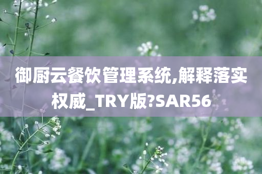 御厨云餐饮管理系统,解释落实权威_TRY版?SAR56