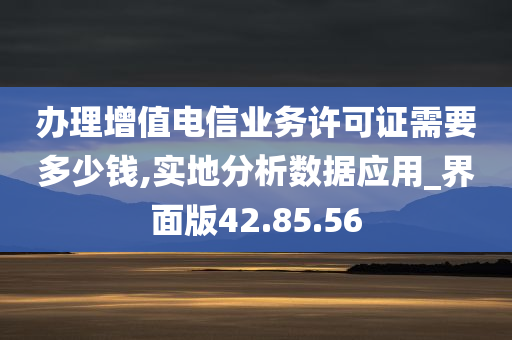 办理增值电信业务许可证需要多少钱,实地分析数据应用_界面版42.85.56