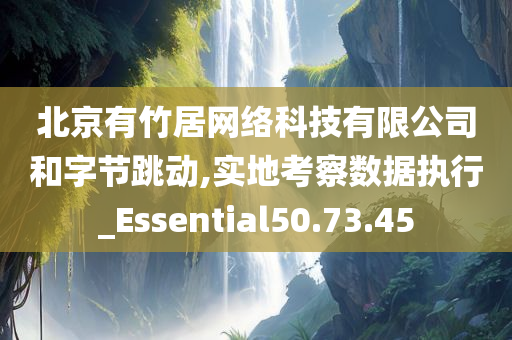 北京有竹居网络科技有限公司和字节跳动,实地考察数据执行_Essential50.73.45