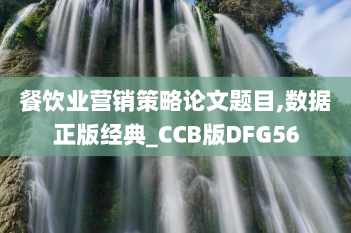 餐饮业营销策略论文题目,数据正版经典_CCB版DFG56