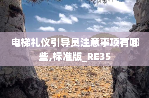 电梯礼仪引导员注意事项有哪些,标准版_RE35