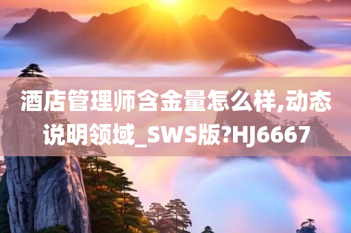 酒店管理师含金量怎么样,动态说明领域_SWS版?HJ6667