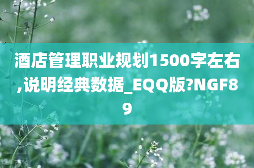 酒店管理职业规划1500字左右,说明经典数据_EQQ版?NGF89