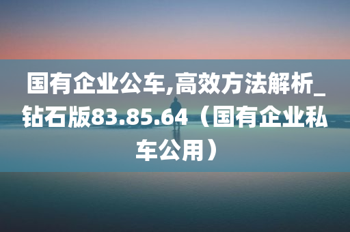 国有企业公车,高效方法解析_钻石版83.85.64（国有企业私车公用）