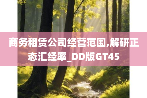 商务租赁公司经营范围,解研正态汇经率_DD版GT45