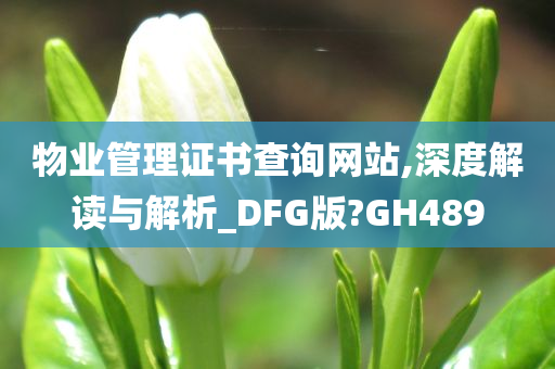 物业管理证书查询网站,深度解读与解析_DFG版?GH489