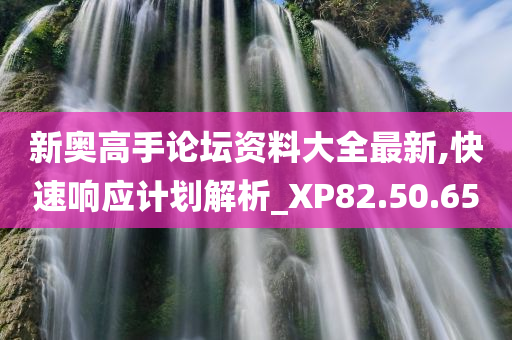 新奥高手论坛资料大全最新,快速响应计划解析_XP82.50.65