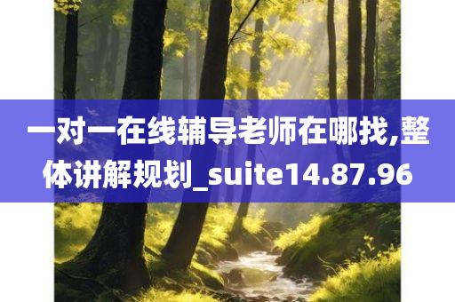 一对一在线辅导老师在哪找,整体讲解规划_suite14.87.96