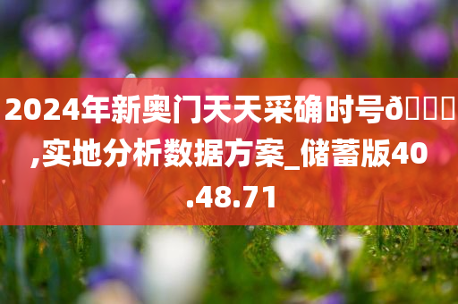 2024年新奥门天天采确时号🐎,实地分析数据方案_储蓄版40.48.71