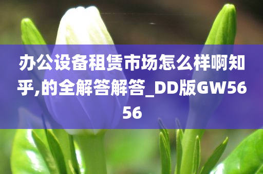 办公设备租赁市场怎么样啊知乎,的全解答解答_DD版GW5656