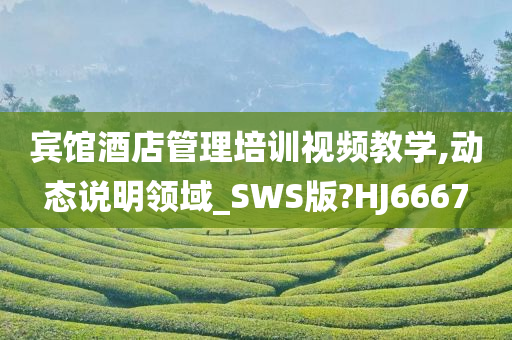 宾馆酒店管理培训视频教学,动态说明领域_SWS版?HJ6667