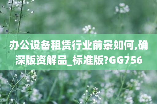 办公设备租赁行业前景如何,确深版资解品_标准版?GG756