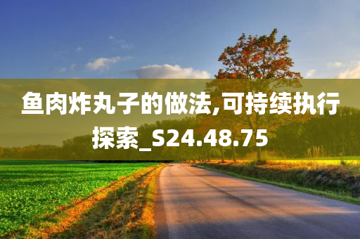 鱼肉炸丸子的做法,可持续执行探索_S24.48.75