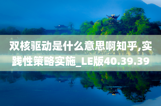 双核驱动是什么意思啊知乎,实践性策略实施_LE版40.39.39