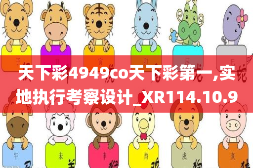 天下彩4949co天下彩第一,实地执行考察设计_XR114.10.90