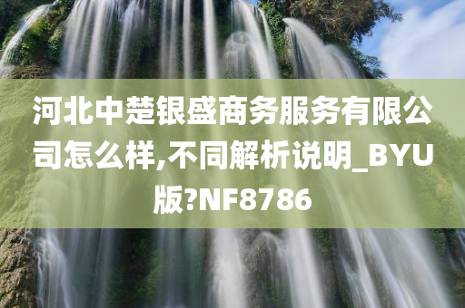 河北中楚银盛商务服务有限公司怎么样,不同解析说明_BYU版?NF8786