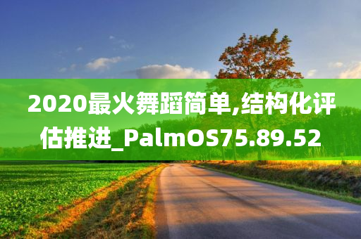 2020最火舞蹈简单,结构化评估推进_PalmOS75.89.52