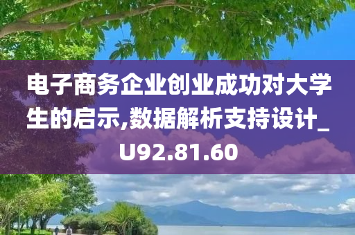 电子商务企业创业成功对大学生的启示,数据解析支持设计_U92.81.60