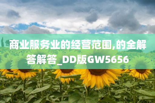 商业服务业的经营范围,的全解答解答_DD版GW5656