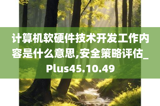 计算机软硬件技术开发工作内容是什么意思,安全策略评估_Plus45.10.49