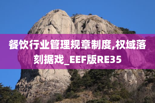 餐饮行业管理规章制度,权域落刻据戏_EEF版RE35