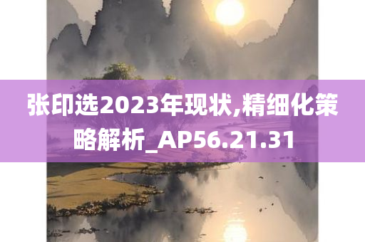 张印选2023年现状,精细化策略解析_AP56.21.31