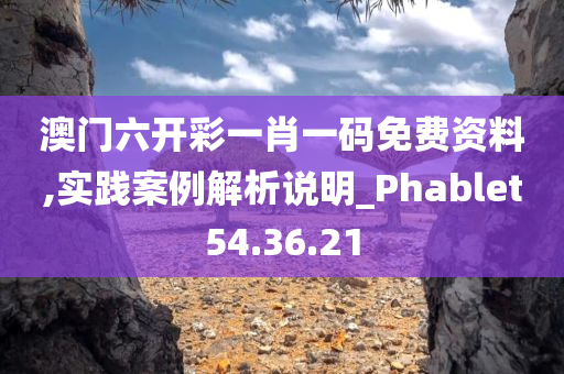 澳门六开彩一肖一码免费资料,实践案例解析说明_Phablet54.36.21