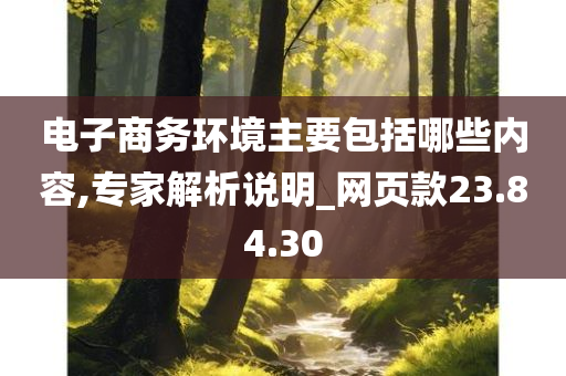 电子商务环境主要包括哪些内容,专家解析说明_网页款23.84.30