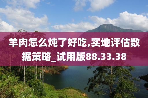 羊肉怎么炖了好吃,实地评估数据策略_试用版88.33.38