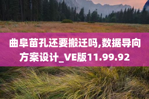 曲阜苗孔还要搬迁吗,数据导向方案设计_VE版11.99.92