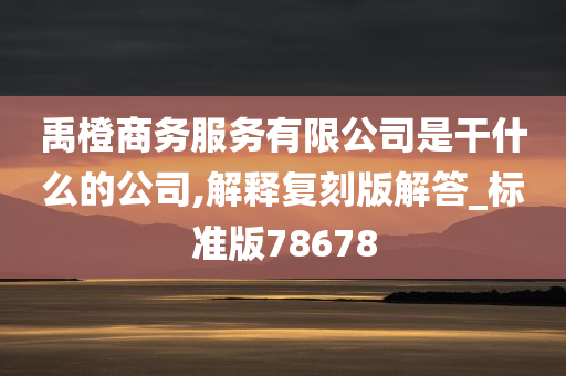 禹橙商务服务有限公司是干什么的公司,解释复刻版解答_标准版78678