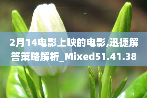 2月14电影上映的电影,迅捷解答策略解析_Mixed51.41.38