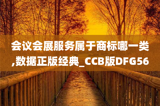 会议会展服务属于商标哪一类,数据正版经典_CCB版DFG56