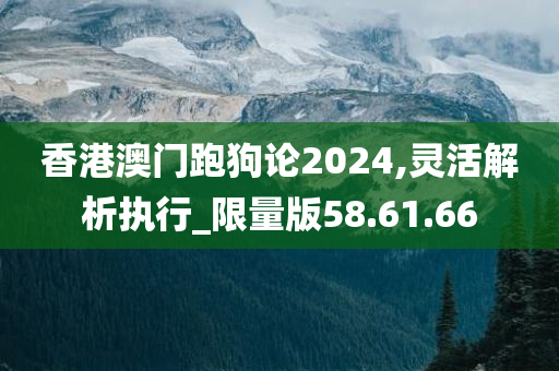 香港澳门跑狗论2024,灵活解析执行_限量版58.61.66