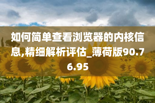 如何简单查看浏览器的内核信息,精细解析评估_薄荷版90.76.95