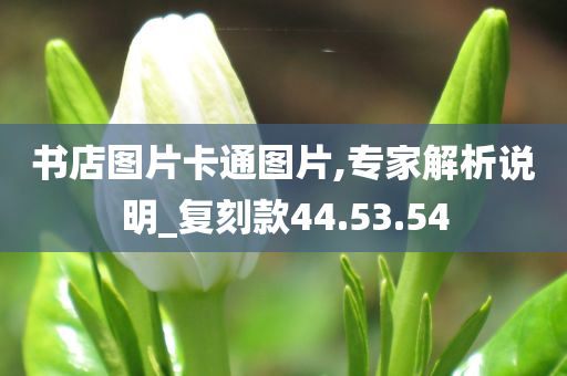 书店图片卡通图片,专家解析说明_复刻款44.53.54