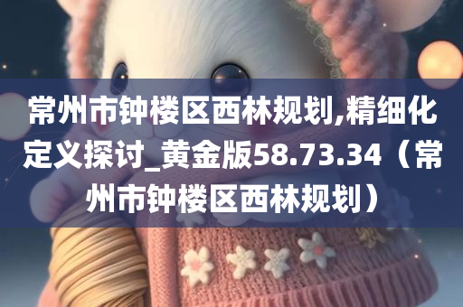 常州市钟楼区西林规划,精细化定义探讨_黄金版58.73.34（常州市钟楼区西林规划）