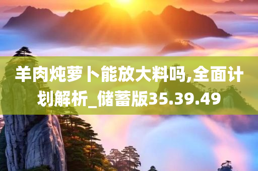 羊肉炖萝卜能放大料吗,全面计划解析_储蓄版35.39.49